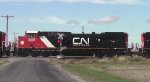 CN 3305